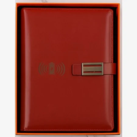 Striker power bank diary